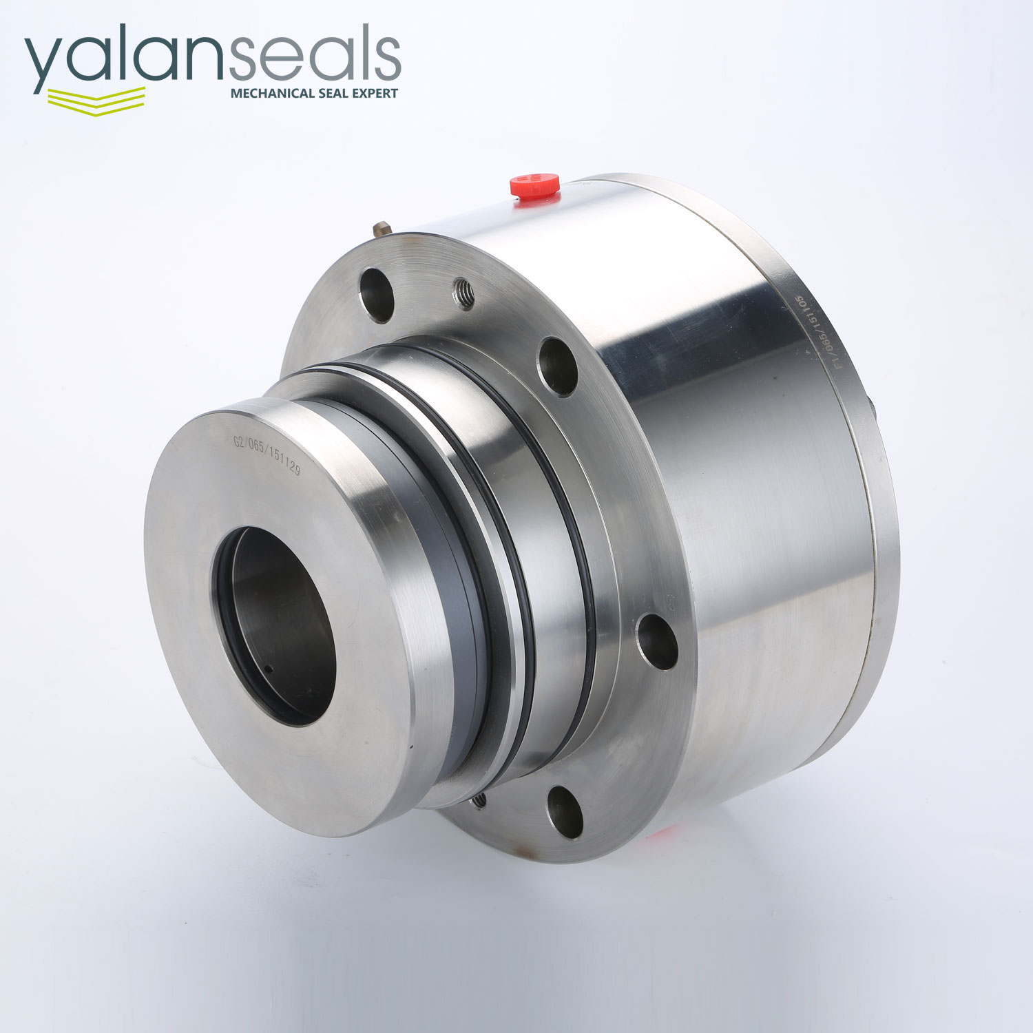 亞蘭261型集裝式機械密封件